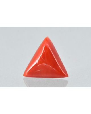 6.09/CT Natural Triangular Red Coral-1800       