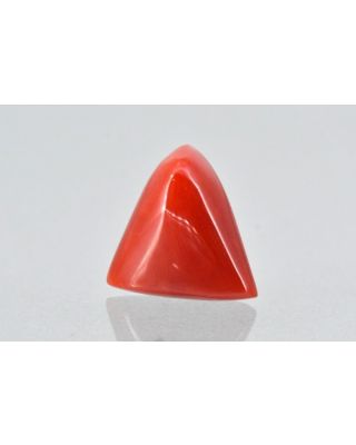 6.33/CT Natural Triangular Red Coral-1800       