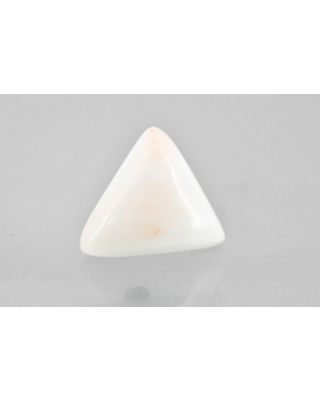 6.90/CT Natural White Triangle Coral-1500        