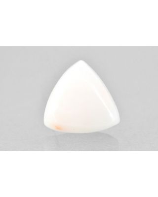 7.99/CT Natural White Triangle Coral-1500        