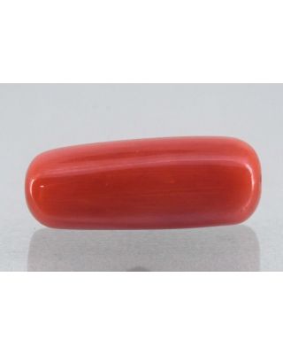 7.76/Carat Natural Cylindrical Red Coral-1800        