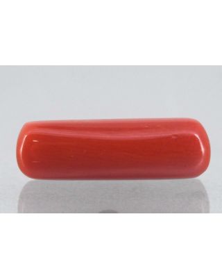 7.92/Carat Natural Cylindrical Red Coral-1800        