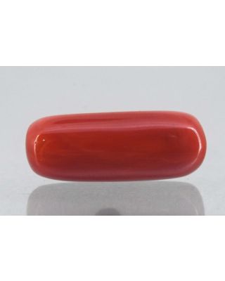 7.76/Carat Natural Cylindrical Red Coral-1800        