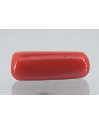 8.08/Carat Natural Cylindrical Red Coral-1800        