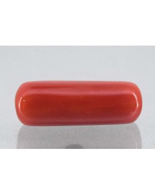 7.71/Carat Natural Cylindrical Red Coral-1800        