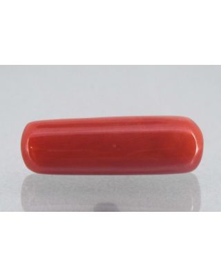 7.24/Carat Natural Cylindrical Red Coral-1800        