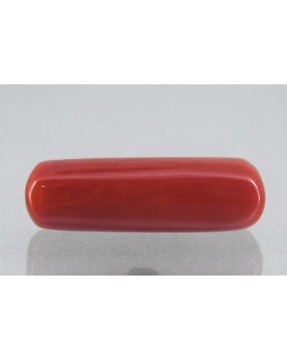 7.39/Carat Natural Cylindrical Red Coral-1800        