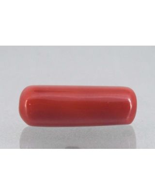 7.94/Carat Natural Cylindrical Red Coral-1800        