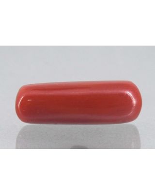 7.80/Carat Natural Cylindrical Red Coral-1800        