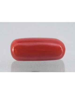 7.91/Carat Natural Cylindrical Red Coral-1800       