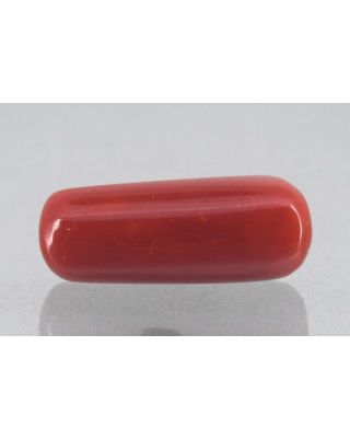 7.29/Carat Natural Cylindrical Red Coral-1800       