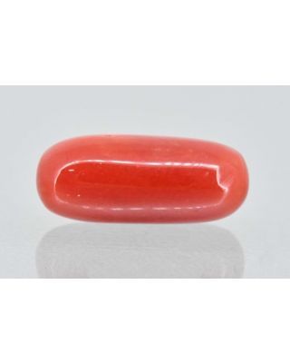 6.92/Carat Natural Cylindrical Red Coral (1500)                  