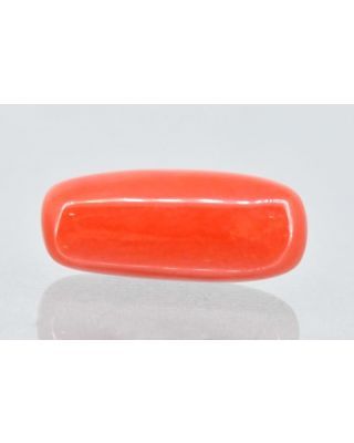 6.25/Carat Natural Cylindrical Red Coral (1500)                  