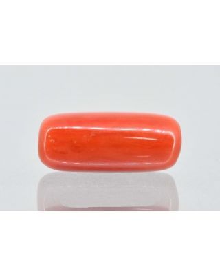 6.00/Carat Natural Cylindrical Red Coral (1500)                  