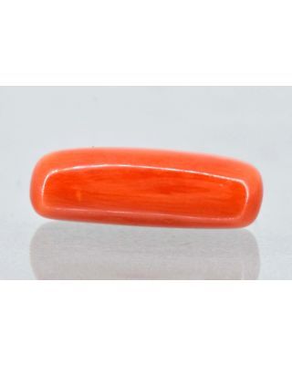 6.56/Carat Natural Cylindrical Red Coral (1800)                  