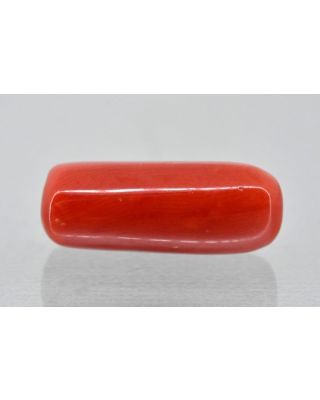 6.17/Carat Natural Cylindrical Red Coral-1200       