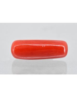 7.91/Carat Natural Cylindrical Red Coral (1800)                    