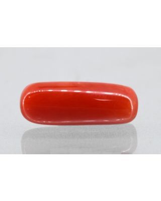 6.39/Carat Natural Cylindrical Red Coral (1800)               