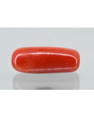 6.31/Carat Natural Cylindrical Red Coral (1800)               