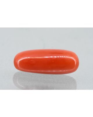 6.02/Carat Natural Cylindrical Red Coral (1500)                    