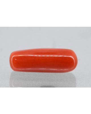 6.87/Carat Natural Cylindrical Red Coral (1800)                    