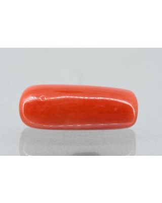 6.72/Carat Natural Cylindrical Red Coral (1800)                    