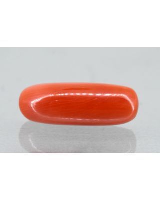 6.53/Carat Natural Cylindrical Red Coral (1800)                    