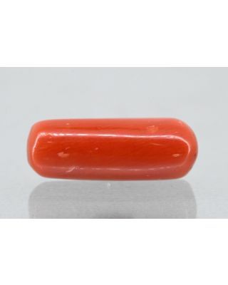 6.66/Carat Natural Cylindrical Red Coral (1800)                    