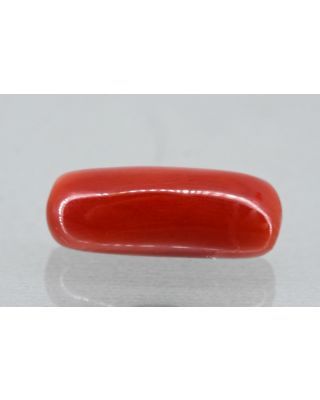 6.73/Carat Natural Cylindrical Red Coral (1800)                    