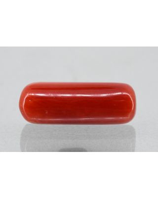 6.81/Carat Natural Cylindrical Red Coral (1800)                    