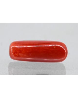 7.19/Carat Natural Cylindrical Red Coral (1800)                    