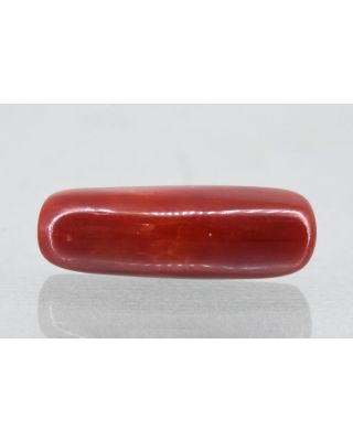 6.61/Carat Natural Cylindrical Red Coral (1800)                    