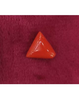 5.08/CT Natural Triangular Red Coral-1054      