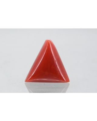 7.79/CT Natural Triangular Red Coral (1800)                     