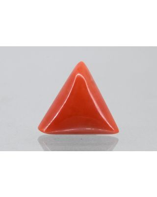 7.40/CT Natural Triangular Red Coral (1800)                     
