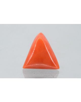 9.02/CT Natural Triangular Red Coral (2150)                     