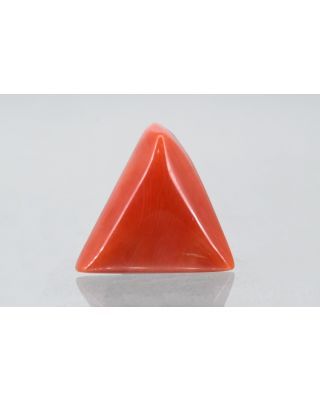 8.39/CT Natural Triangular Red Coral (2150)                     