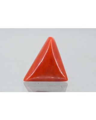 7.83/CT Natural Triangular Red Coral (1800)                     