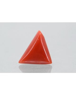 5.23/CT Natural Triangular Red Coral (1054)                     