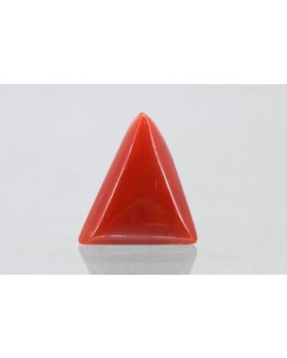 6.05/CT Natural Triangular Red Coral (1800)                     