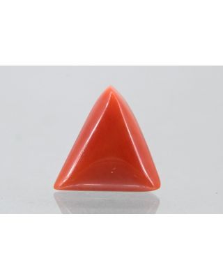 6.91/CT Natural Triangular Red Coral (1054)                     