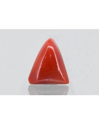 6.44/CT Natural Triangular Red Coral (1800)                     