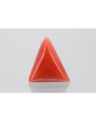 6.32/CT Natural Triangular Red Coral (1800)                          