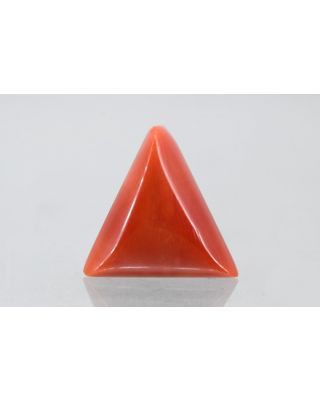 6.42/CT Natural Triangular Red Coral (1800)                          