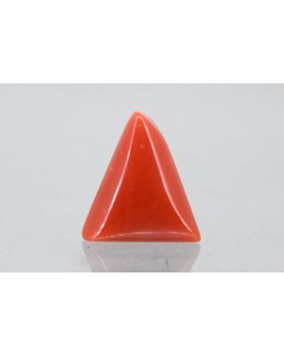 5.21/CT Natural Triangular Red Coral (1054)                     