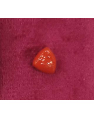 3.60/CT Natural Triangular Red Coral-1054