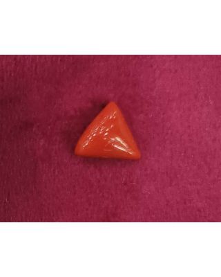 3.85/CT Natural Triangular Red Coral-1054     