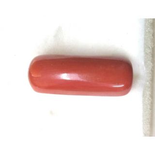 5.35/Carat Natural Cylindrical Red Coral-943