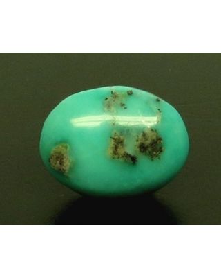 6.30/CT Natural Govt. Lab Certified Turquoise (1221)        