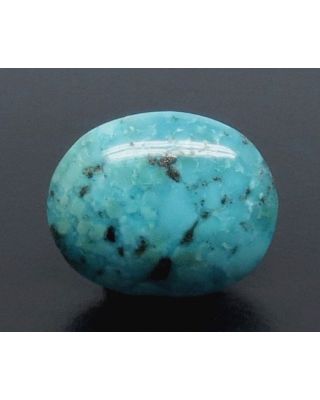 4.98/CT Natural Govt. Lab Certified Turquoise-1221        